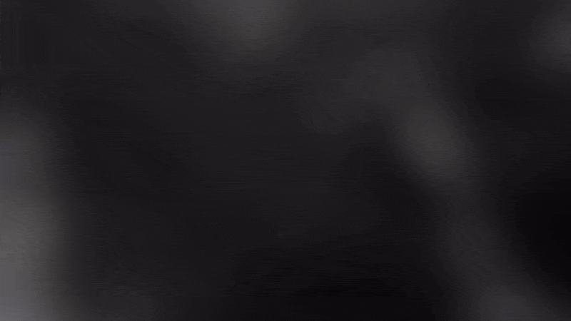GIF 4